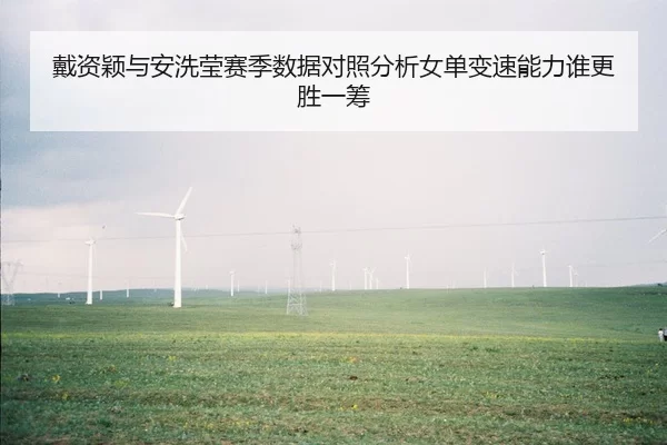 戴资颖与安洗莹赛季数据对照分析女单变速能力谁更胜一筹