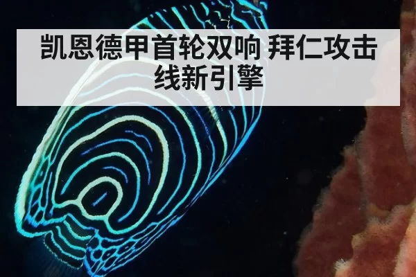 凯恩德甲首轮双响 拜仁攻击线新引擎